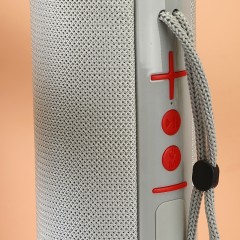 Haut-parleur Bluetooth portable avec caisson de basses à double diaphragme