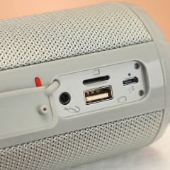 Haut-parleur Bluetooth portable avec caisson de basses à double diaphragme