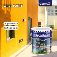 Peinture extérieure au latex résistant aux intempéries et aux fissures 20kg