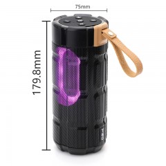 Haut parleur bluetooth LED portable