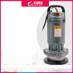 Pompe à eau 550W