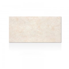 Carreaux  muraux  en céramique émaillée 300x600mm