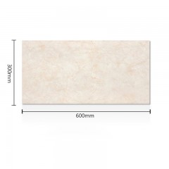 Carreaux  muraux  en céramique émaillée 300x600mm