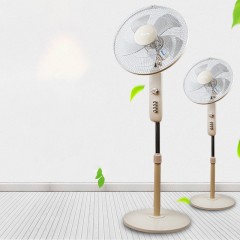 Ventilateur électrique 3 vitesses de rotation et 5 pales