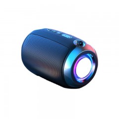 Mini Haut-parleur Bluetooth portable