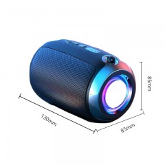 Mini Haut-parleur Bluetooth portable