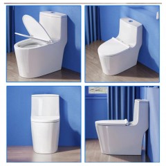 WC  monobloc silencieuse et économe en eau à siphon ultra-tourbillonnant