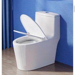 WC  monobloc silencieuse et économe en eau à siphon ultra-tourbillonnant