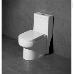 Toilettes à siphon super tourbillonnant