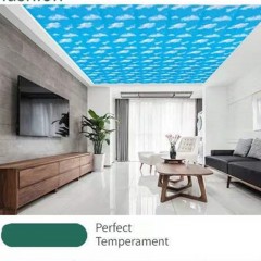 Plafond longue bande en PVC anti-moisissure et résistant à la corrosion