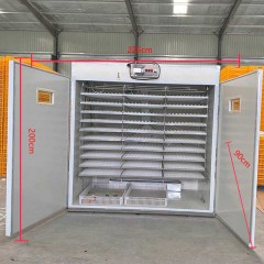 Incubateur à œufs pour poulet, canard, oie et pigeon