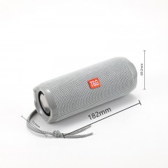 Haut parleur Bluetooth sans fil portable