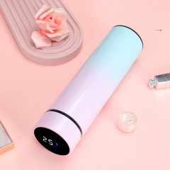 Gourde isotherme (thermos) avec fonction d'affichage de température
