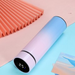 Gourde isotherme (thermos) avec fonction d'affichage de température