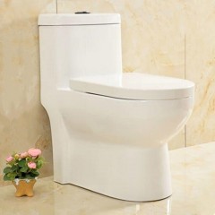 WC à Siphon silencieux et économes en eau en céramique