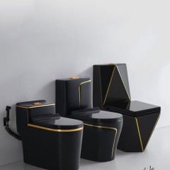 WC monobloc à Siphon en céramique