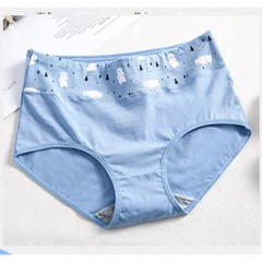 Culotte taille haute en coton pour femme