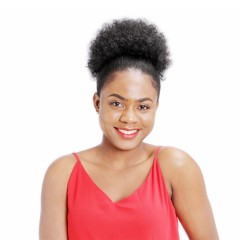 Perruque chignon synthétique en fibre facile à installer