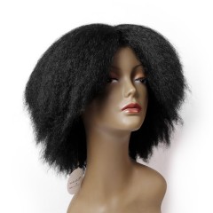 Perruque synthétique de 12 pouces aux cheveux ondulée , duveteux et moelleuse
