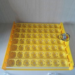 Accessoire pour Incubateur Plateau simple aux oeufs tournant type rouleau