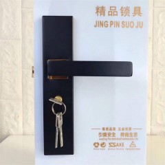 Serrure de porte avec la poignée noir silencieux
