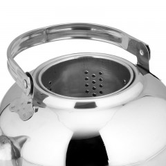 Bouilloire en acier inoxydable avec filtre