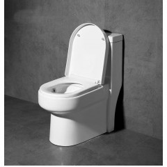 Toilettes à siphon super tourbillonnant