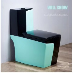 Toilette WC domestique de couleur