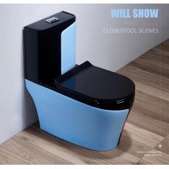Toilette WC domestique de couleur