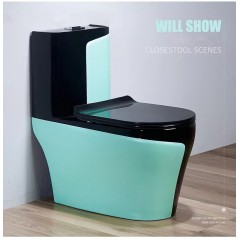 Toilette WC domestique de couleur
