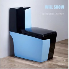 Toilette WC domestique de couleur