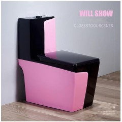Toilette WC domestique de couleur
