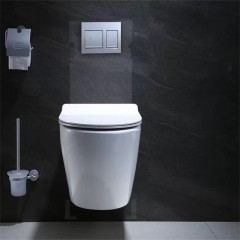 Toilettes cachées monobloc tourbillonnant 3D