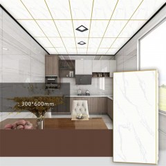 Plafond en aluminium intégré résistant à la moisissure et à l'humidité