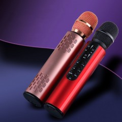 Microphone Karaoké Bluetooth haut parleur intégré en alliage d'aluminium Réduction intelligente du bruit