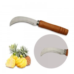 Couteau à ananas en acier inoxydable avec manche en bois