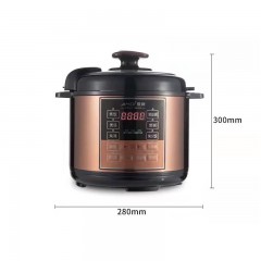 Autocuiseur intelligent multifonctionnel 5L