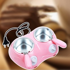 Machine à fonte de chocolat double pot 250ml/pot