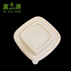 Boîte alimentaire jetable en plastique PLA boîte carrée
