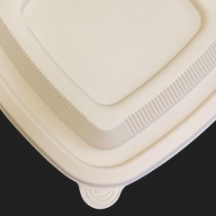 Boîte alimentaire jetable en plastique PLA boîte carrée