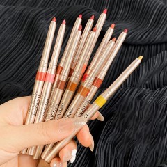 Crayon à lèvres pivotant automatique Imperméable et durable