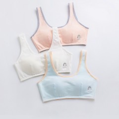 Soutien-gorge à armatures mince pour adolescentes en développement pour l'été