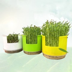 Plateau de plantation d'observation circulaire