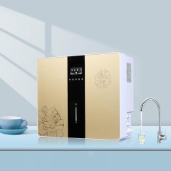 Purificateur d'eau à osmose inverse Filtre à eau