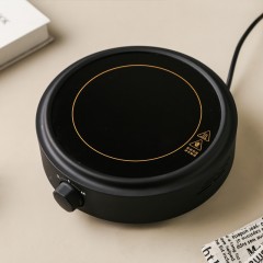 Petite cuisinière à induction 110V220