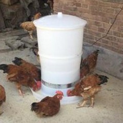 Équipement de culture alimentaire entièrement automatique Mangeoires