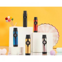 Kazoo Flûte Portable Facile à apprendre