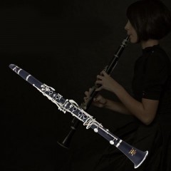 Clarinette Professionnelle en la aigu