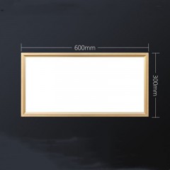 Lumière  de plafond avec source de lumière LED intégrée