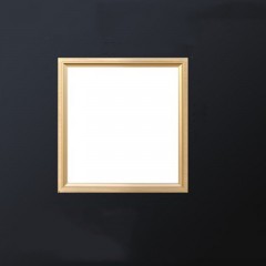 Lumière  de plafond avec source de lumière LED intégrée